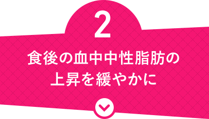 2 食後の血中中性脂肪の上昇を緩やかに