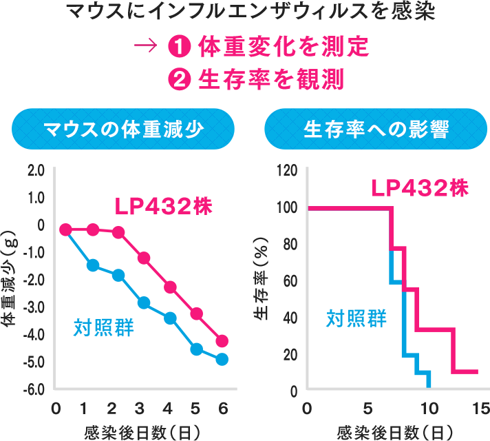 マウスにインフルエンザウィルスを感染 → ①体重変化を測定 ②生存率を観測