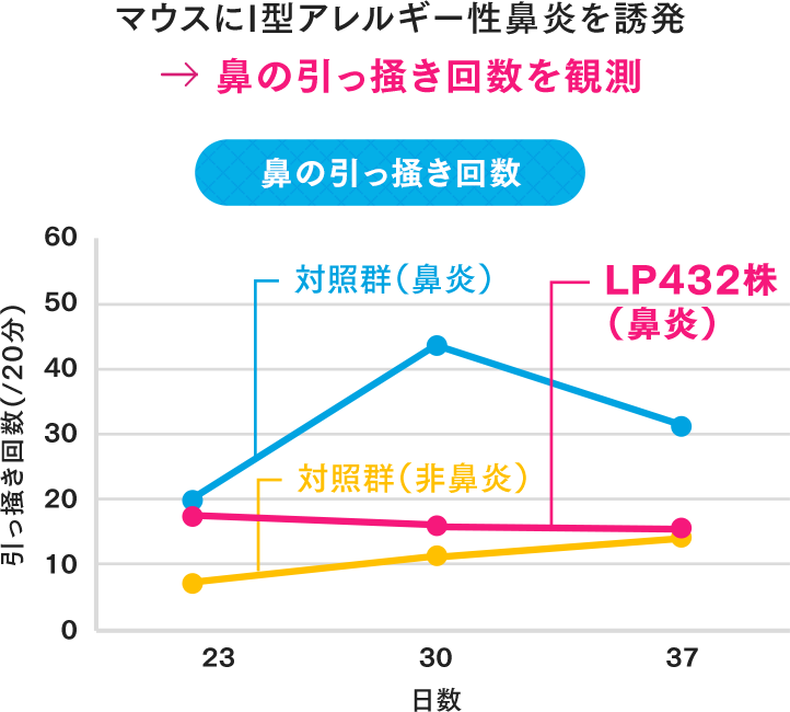 マウスにIアレルギー性鼻炎を誘発 → 鼻の引っ掻き回数を観測