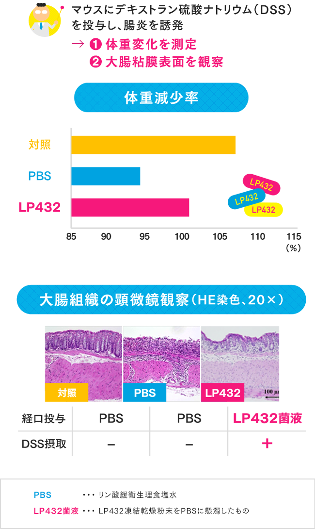 マウスにデキストラン硫酸ナトリウム（DSS）を投与し、腸炎を誘発 → ①体重変化を測定 ②大腸粘膜表面を観察