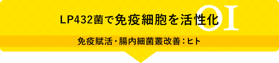 01 LP432菌で免疫細胞を活性化