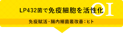 01 LP432菌で免疫細胞を活性化