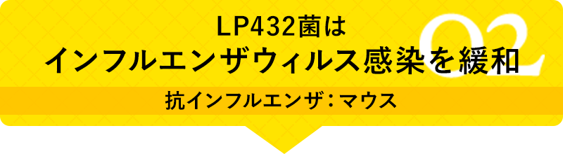 02 LP432菌はインフルエンザウィルス感染を緩和